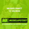 MASS BUNDLE 12v